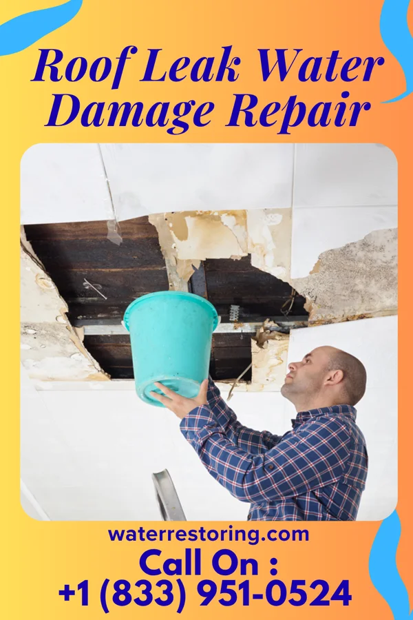 Roof Leak Water Damage Repair in Lyons, OH