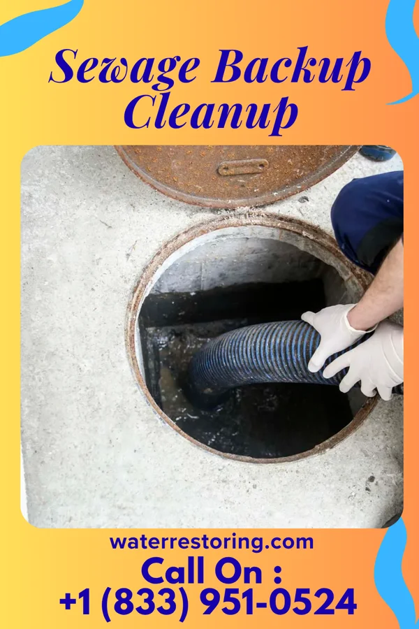 Sewage Backup Cleanup in Lyons, OH